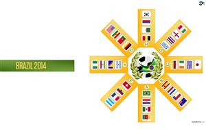 FIFA World Cup 2014